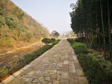 自然是個(gè)偉大的攝影師