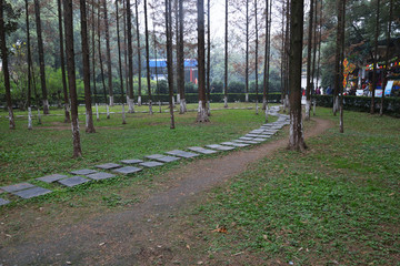 公園石板路