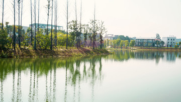 長沙后湖公園風光