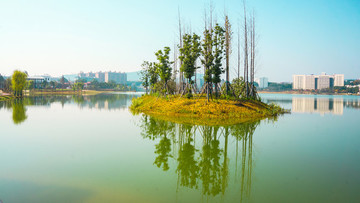 后湖公園風(fēng)光