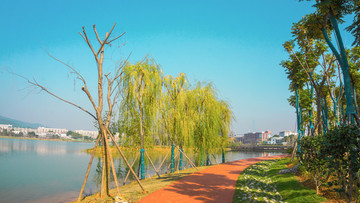 后湖公園風(fēng)景