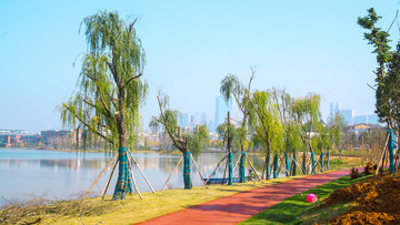 后湖公園風(fēng)景