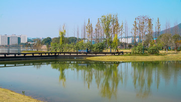 長沙后湖公園