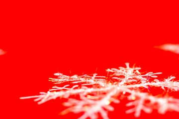 紅色雪花背景