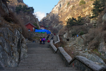 泰山