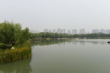 大明宮國(guó)家遺址公園
