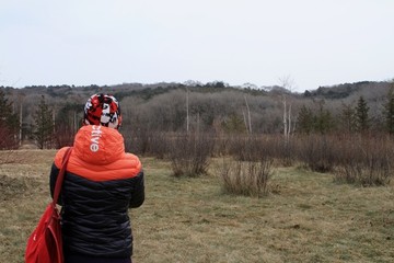 森林公園