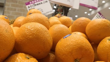 橙子