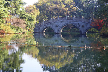 西湖園林秋景