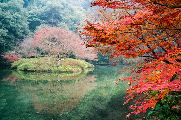 浙江杭州九溪十八澗紅葉