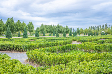 綠化園林公園