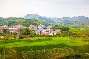 田園風(fēng)光