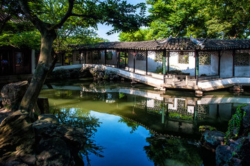蘇州拙政園