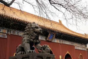 北京雍和宮銅獅子