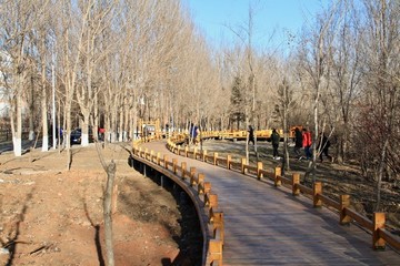 木棧道