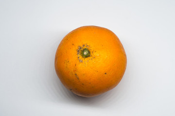 橙子