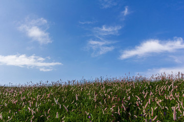 駝梁山自然風(fēng)光