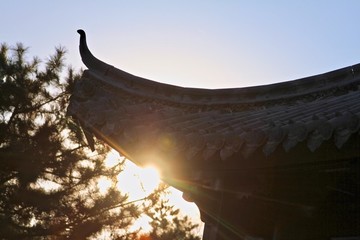 夕陽飛檐