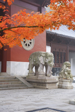棲霞寺