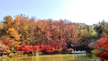 南京棲霞山秋色