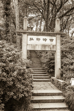 老杭州