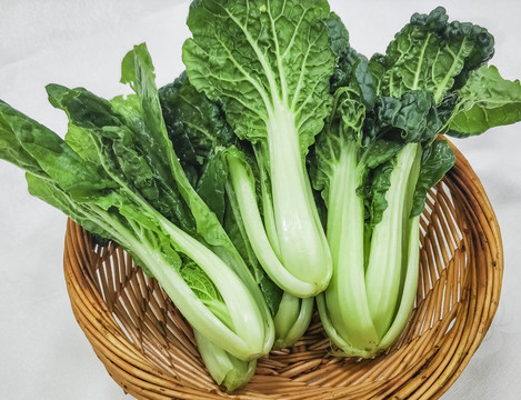 太湖香青菜