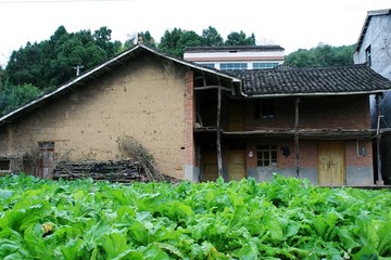鄉(xiāng)村人家