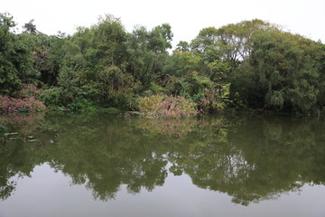 深圳東湖風(fēng)光
