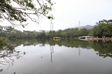 深圳東湖公園風(fēng)光