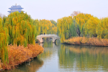 公園