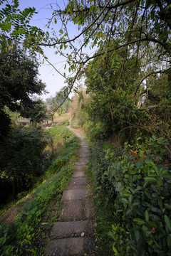 走馬古鎮(zhèn)