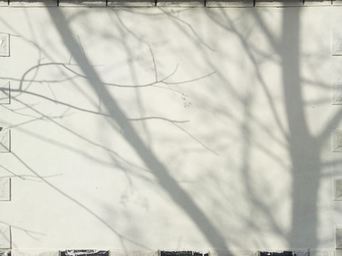 白墻樹(shù)影