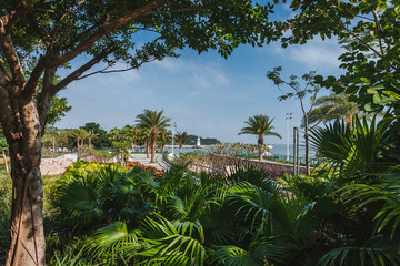 海濱公園6277