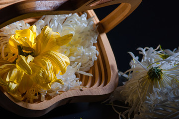 菊花