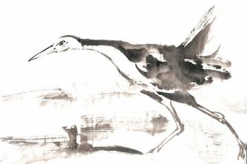 奔跑的鳥