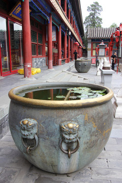 水缸