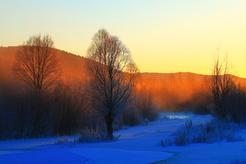 樹林雪景朝陽