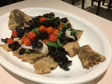 松鼠魚(yú)