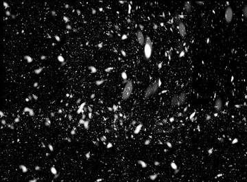 雪花紛飛