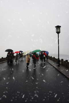 斷橋雪中