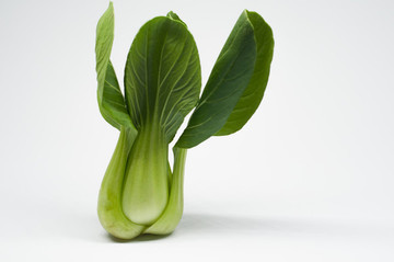 小油菜