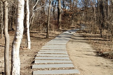 林間小路