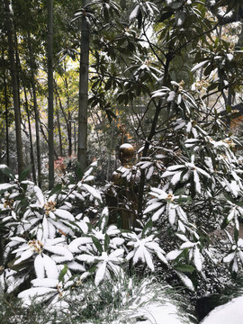 雪中靈隱寺