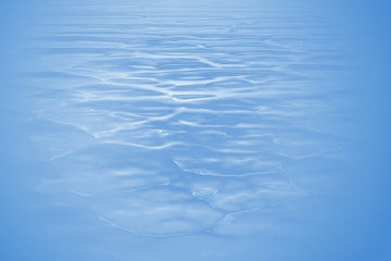 水紋靜物