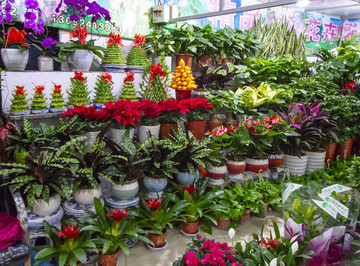 鮮花店