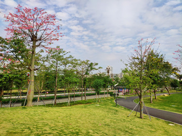 春暖花開