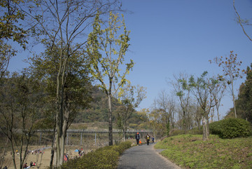 晴日公園