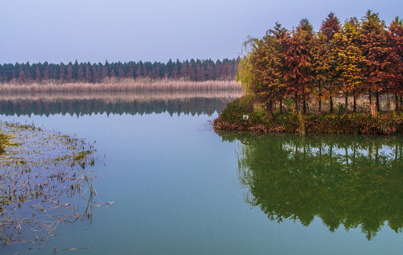 陸角嘴濕地