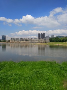 香蜜湖