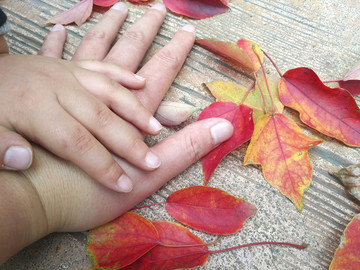 紅葉大手小手